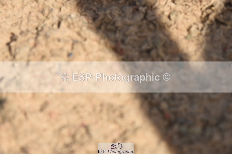 230906A-124552-00313 - Newcomers & 1.10m Open