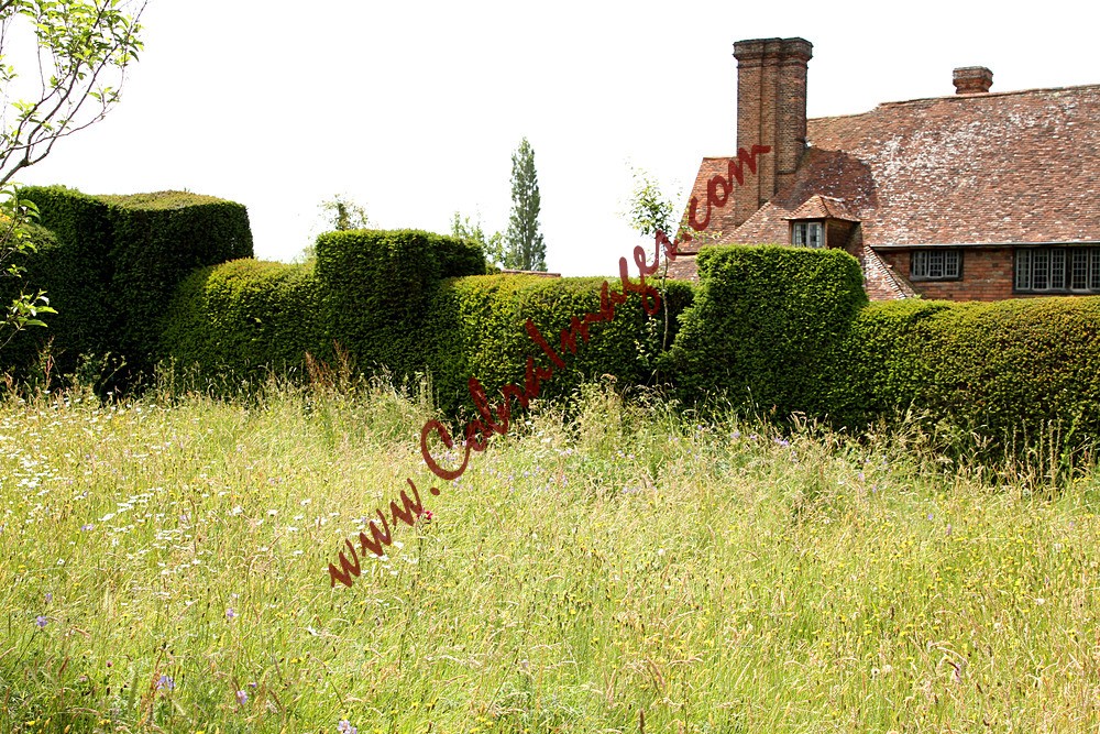 IMG_0001 - Great Dixter - Reopening Day after Lockdown