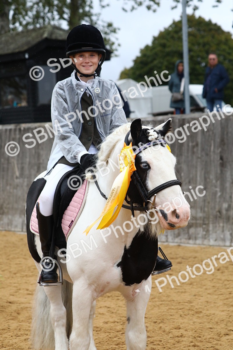 SBM_72116 - J3b - Mini Tour Junior Pony 40cm Championship