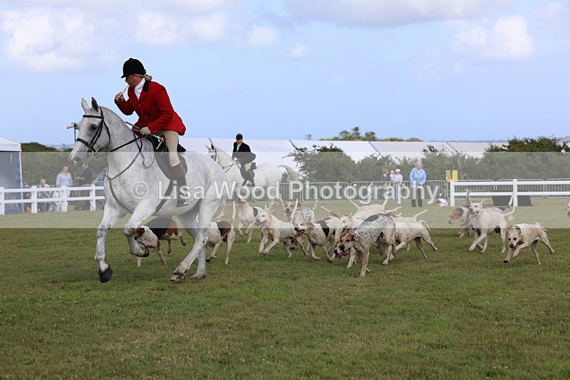 3E7A3459 - Parade of Hounds