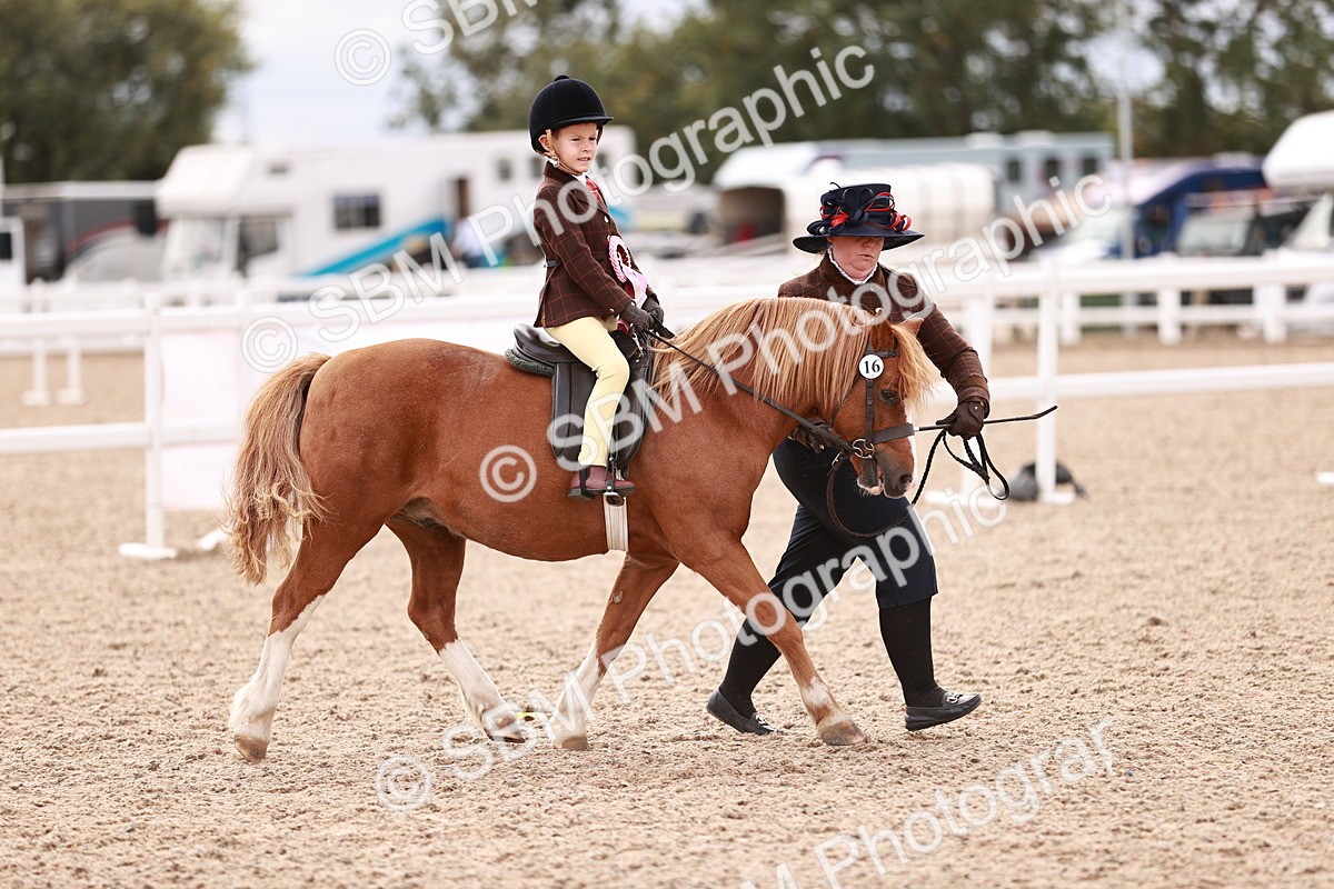 SBM_18417 - Class 418 - Best Condition - Jnr