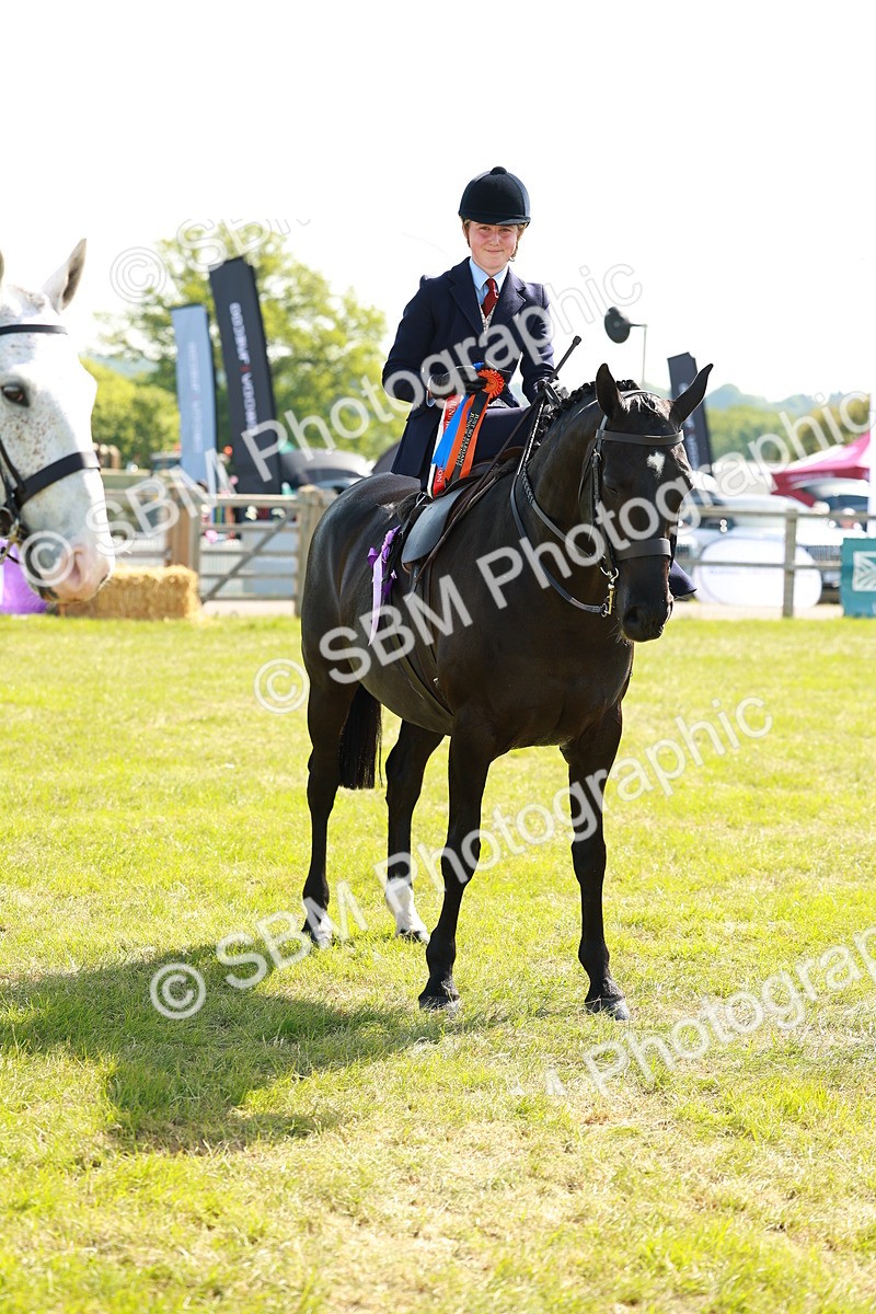 SBM_13259 - Class 70-71 - Side Saddle