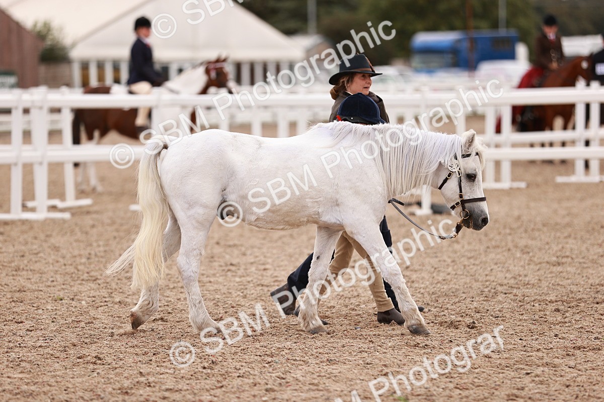 SBM_18429 - Class 419 - Best Maine and Tail - Jnr