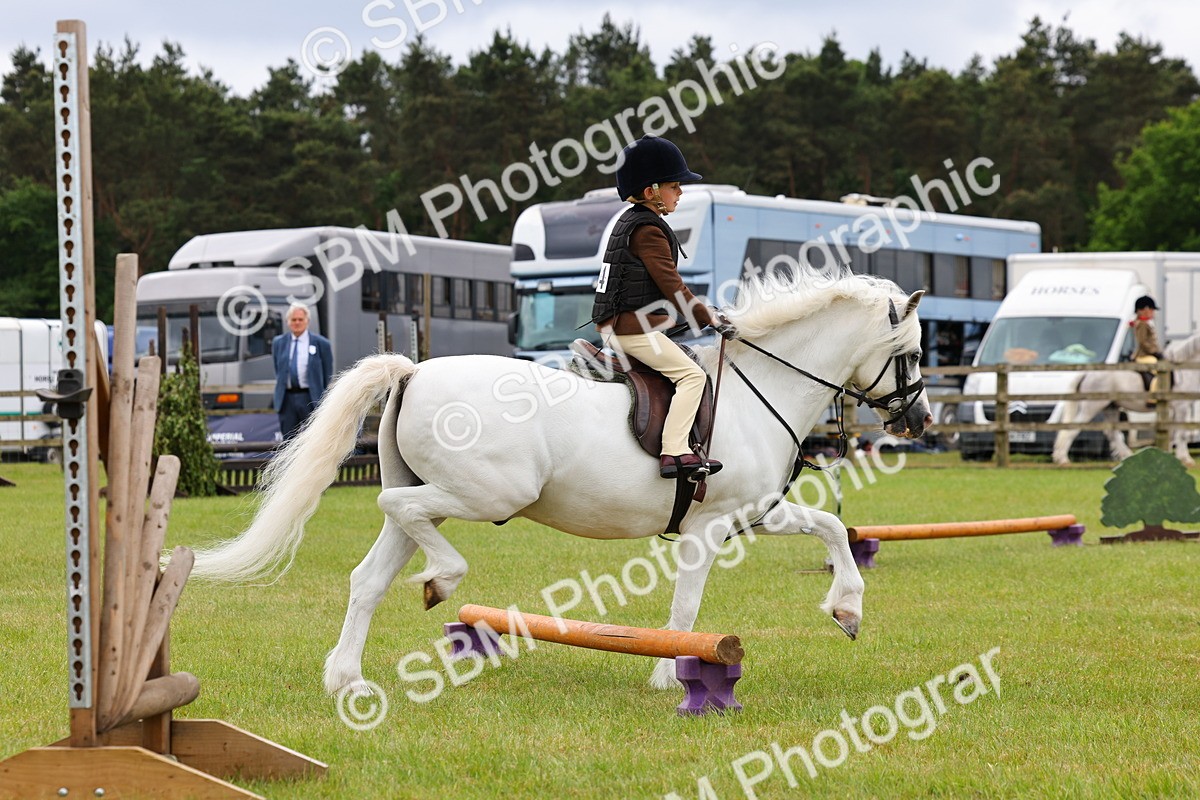SBM_08689 - Class 42-43 - LIHS BSPS Heritage Working Sports Pony