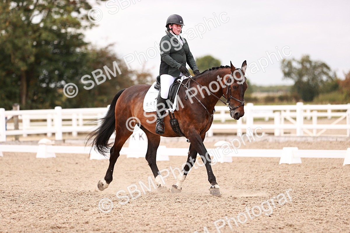 SBM_06379 - Class 37 - Novice 5