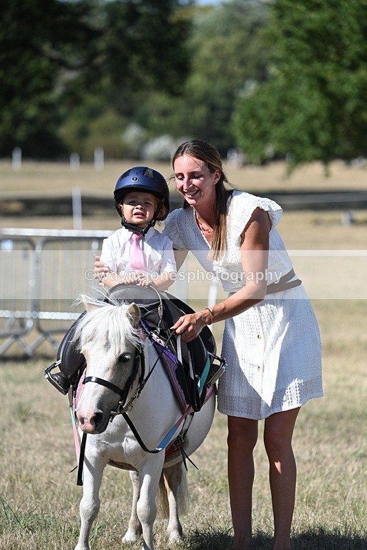 WJ7_1383 - Class 41 Prettiest Mare