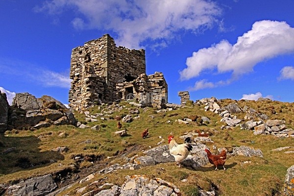 306 - Gallery 3