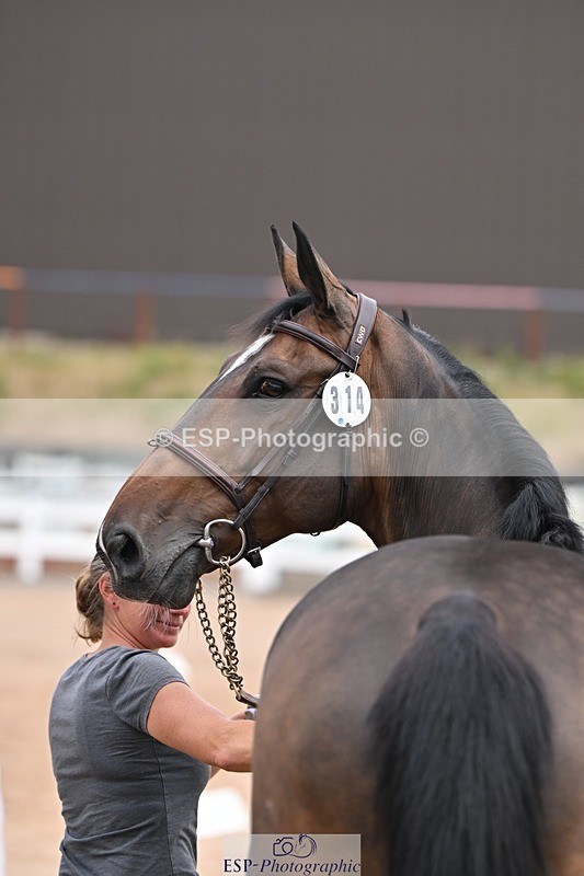 250716-135644-00802 - Trot Up 1.30 to 2.30