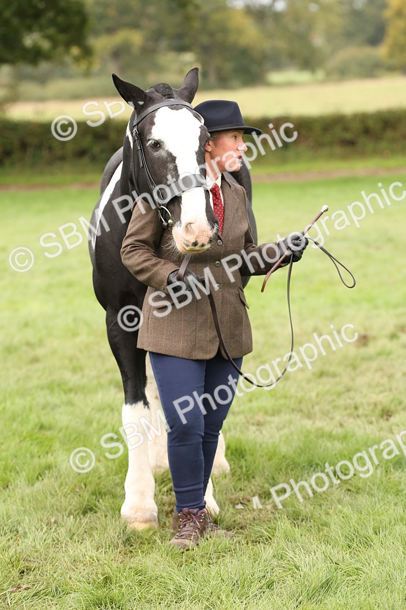 SBM_57523 - S56 - Show Cob in Hand