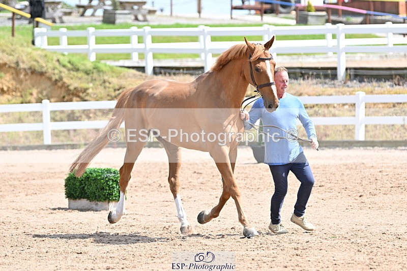 240717A-150649-02549 - Trot Up 3pm to 4pm