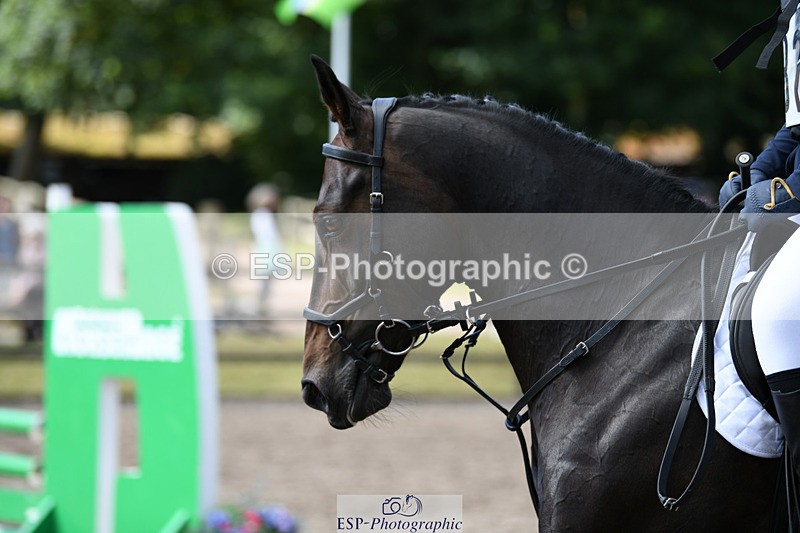 240825X-101334-30929 - 70cm SJ 9.15 to 10.21