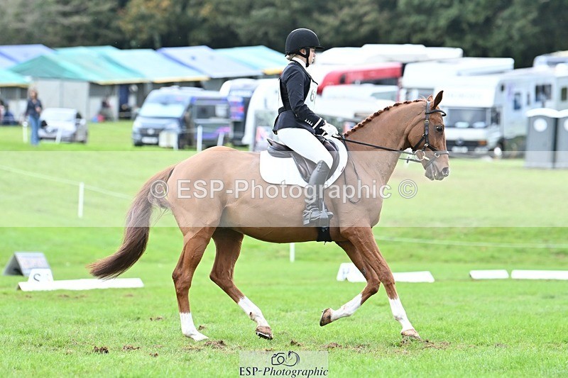 231020-152950-11494 - 686-MOORLAND.MAGIC-Charlotte.Chard-DR