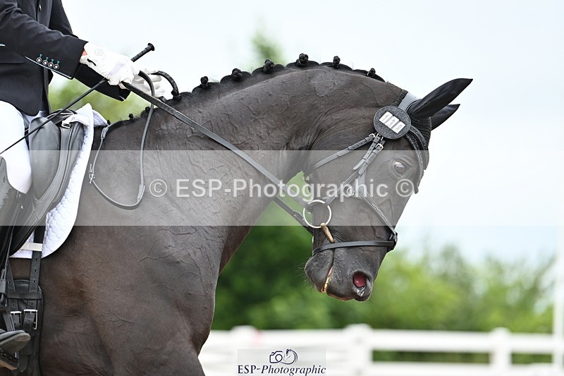 240623A-165443-20266 - Cls 57 BD Adv Medium 98