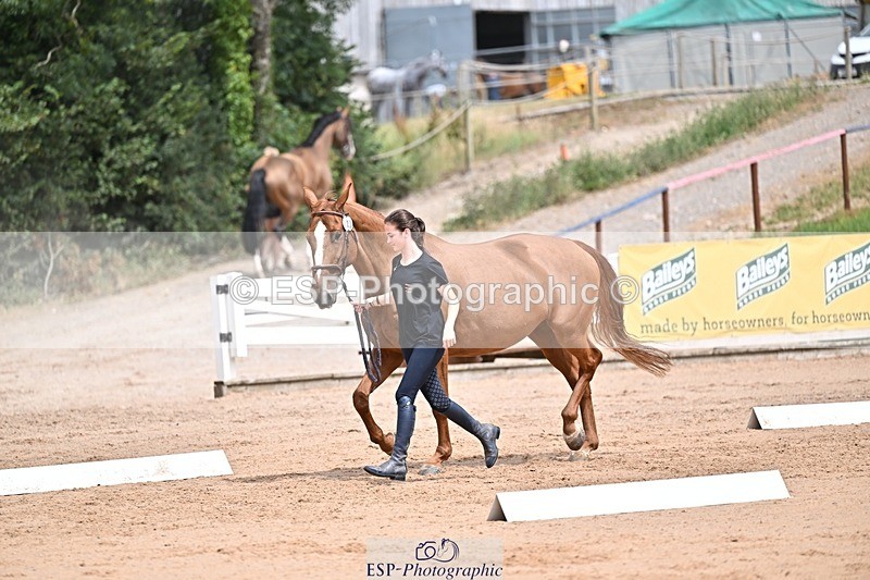 250716-132120-00456 - Trot Up 12.30 to 1.30