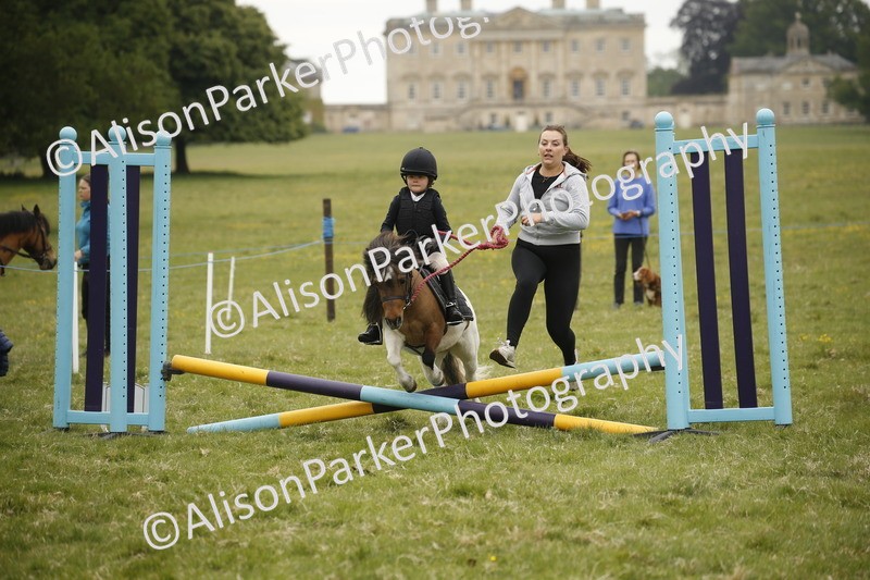 20250517-0265 - Class 1 - 30cm On Lead Rein