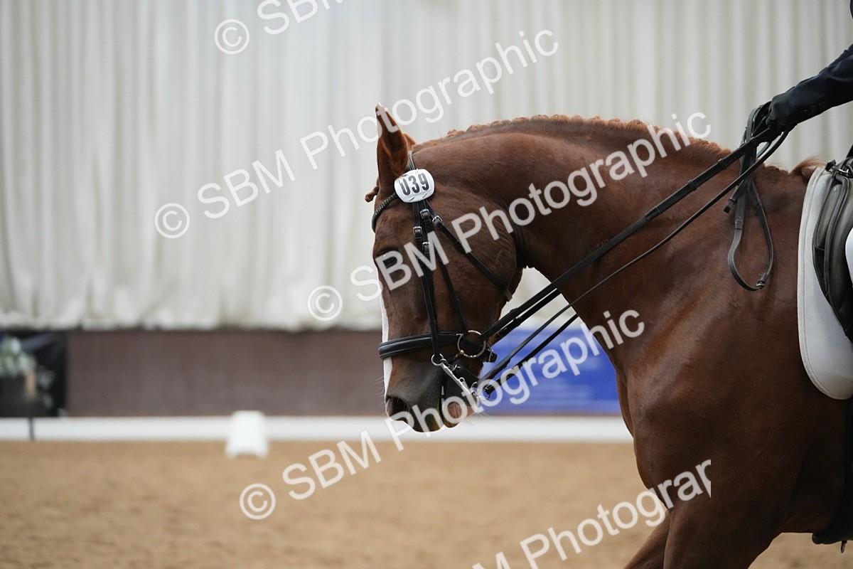 SBM_004452 - Class 11 - Elementary 2 Champs