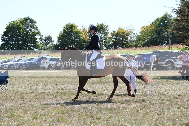 WJ6_8848 - Class 38 Ridden Riding Horse/Pony