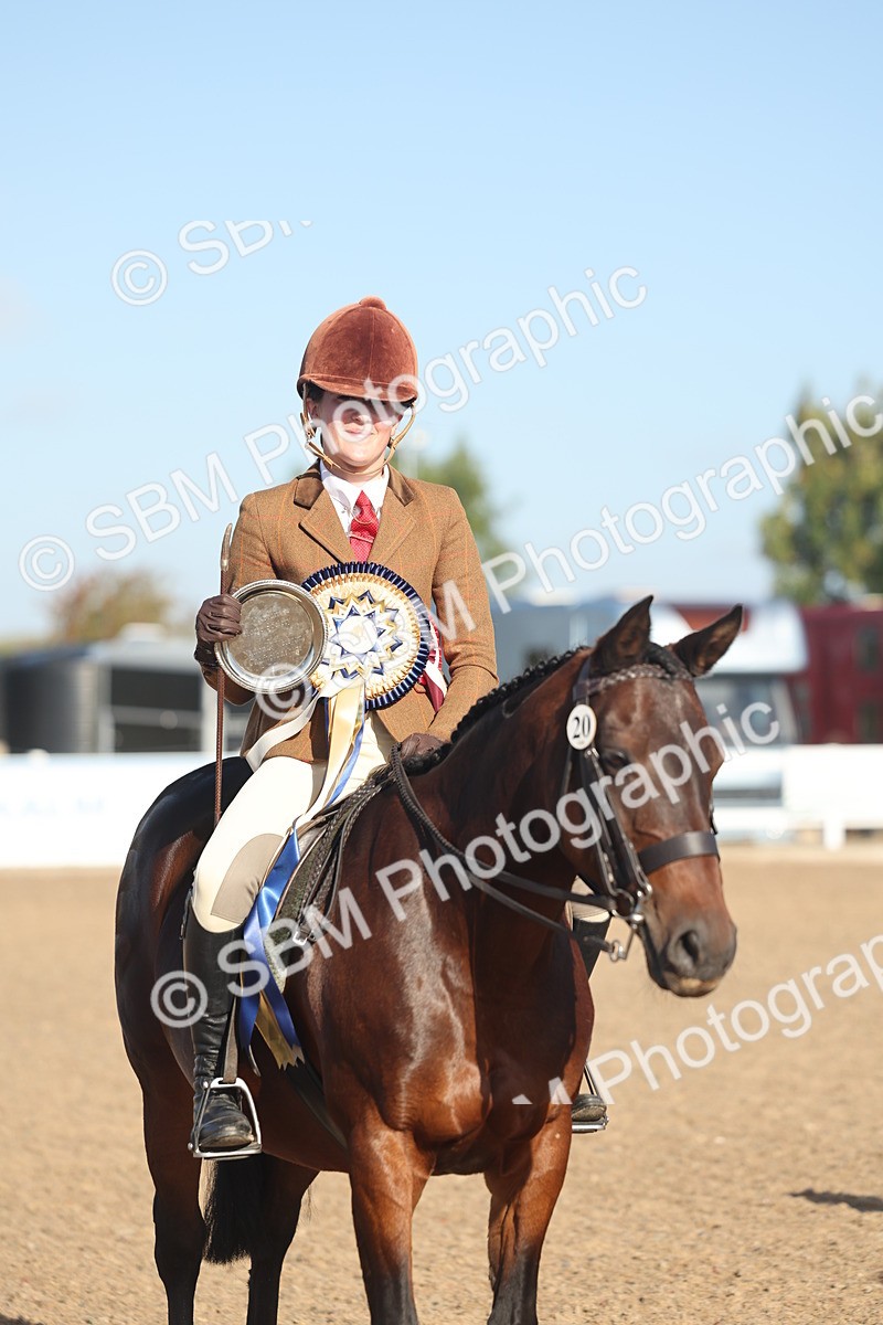 SBM_22137 - Class 801 - Ridden Veterans