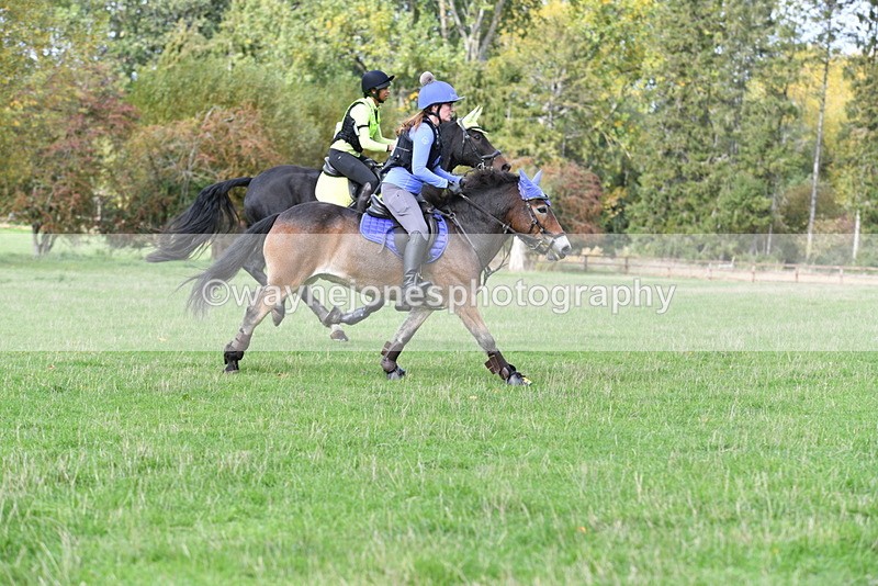 WJ5_8556 - Time 12:02 to 12:32