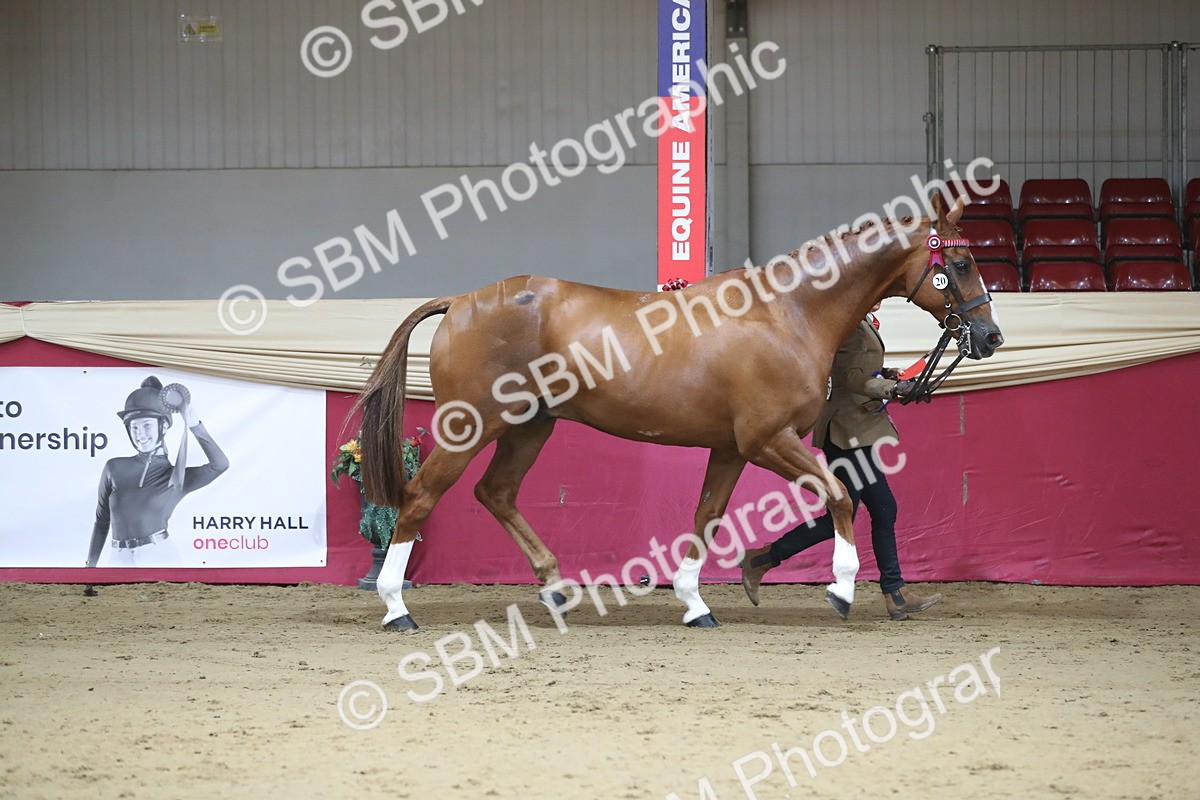 SBM_00591 - class 2a Area IH Veteran