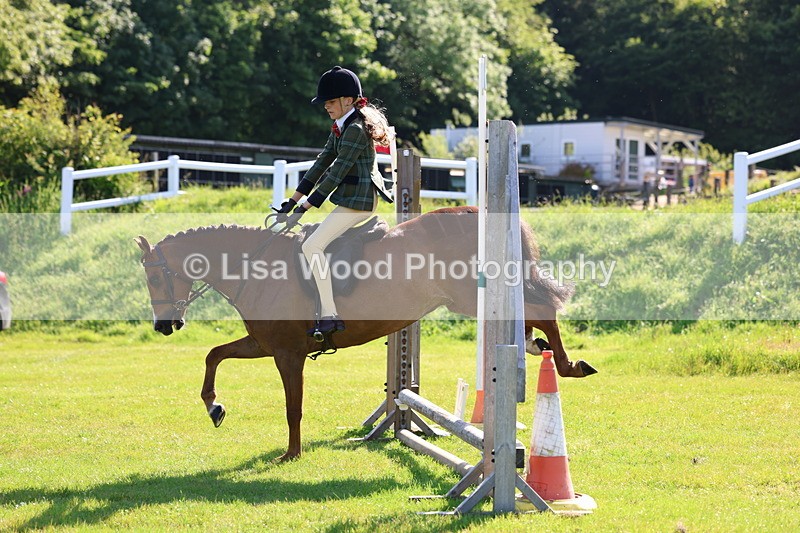 3E7A5914 - Class 27: Novice Working Hunter Pony