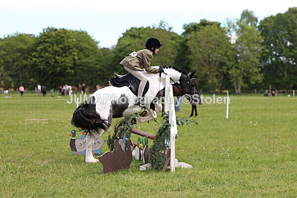 IMG_2927 - Working Hunter