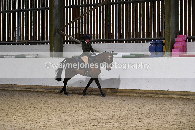 WJ5_8818 - Class 15 Ridden Show Horse