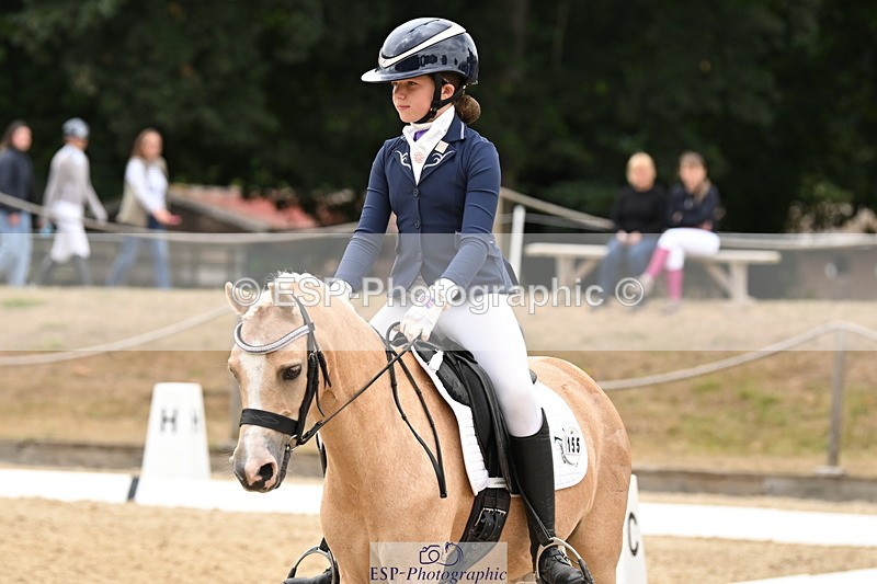 250808A-114013-00660 - 155-Rose.Cassapi-Westfirle.Golden.Oriole