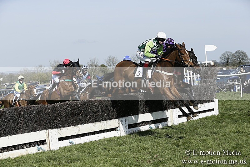 PtP 260317 198 - Mendip Farmers Point-to-Point Ston Easton 26/03/17