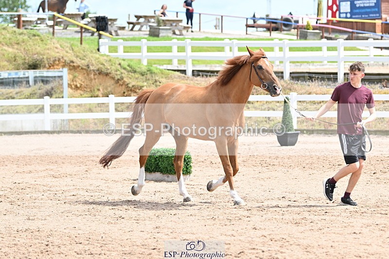 240717A-144501-02259 - Trot Up 2pm to 3pm - This folder is not in time order