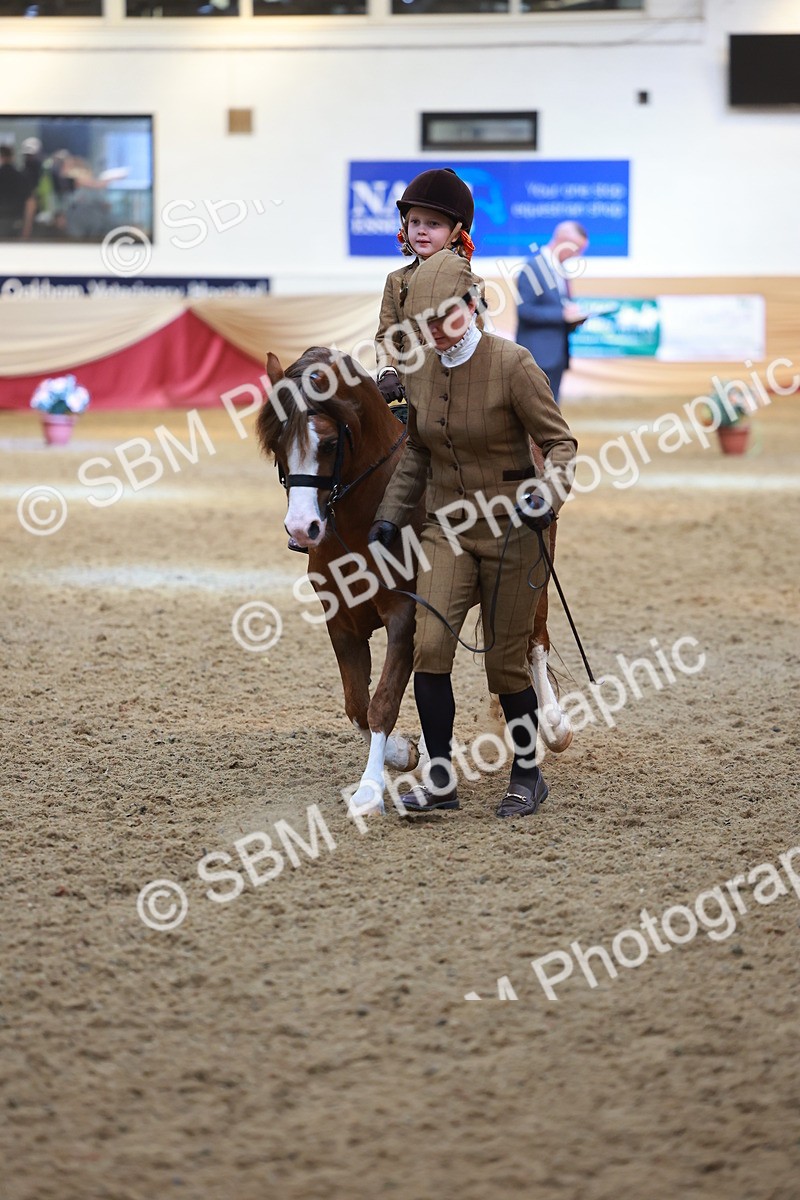 SBM_12605 - Class 103 - HOYS Veteran Qualifier - Ridden Pre Vet