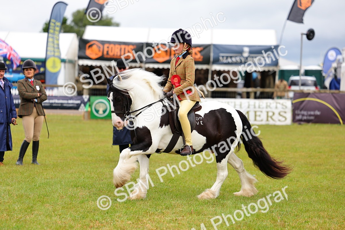 SBM_02632 - Class 9-11 Side Saddle including LIHS Rising Star Ladies Show Horse