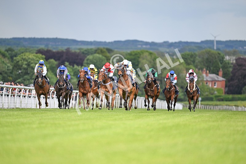 290524-Race 5-Distinction-6584 - Race 5