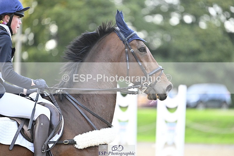 251005A-181229-05639 - Cls 12 Adv 1.10m Ind