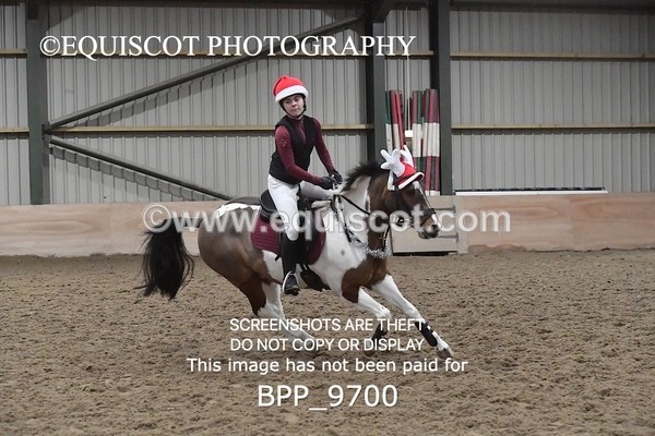 BPP_9700 - CLASS 7  80CM Small Open Show Jumping