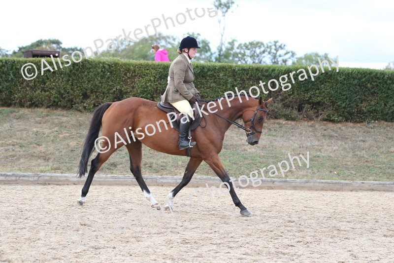 20260831-2602 - Class 15 - Ridden Retraining of Racehorses