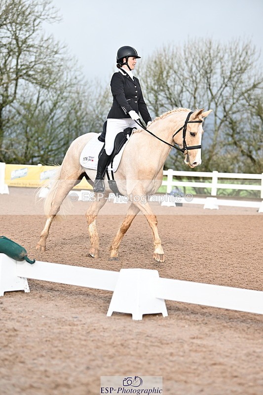 240218A-094412-04829 - 176-Kim.Walker-Dom.Perignon