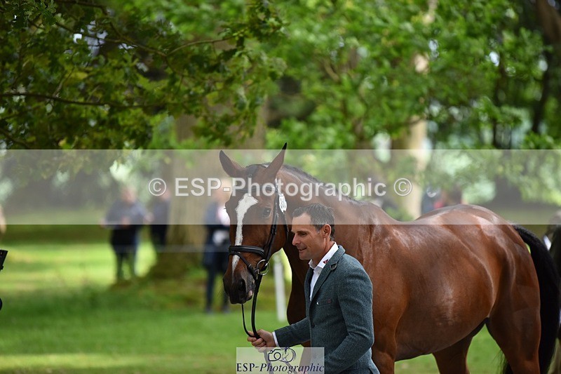 240522-150050-00041 - 352-SHANNONDALE_ALDO-Alexander_Bragg