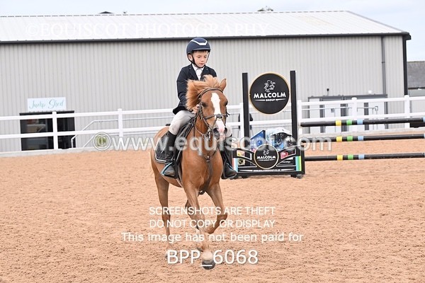 BPP_6068 - SUN CLASS 49 Horse of The Year Show 128cms Qualifier