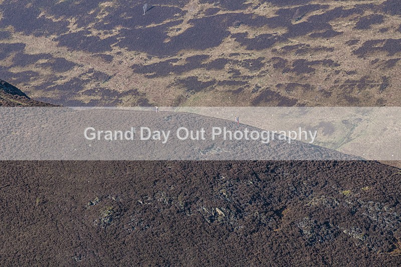 Kong SOB-17 - Kong S.O.B. Fell Race Saturday 1st February 2025