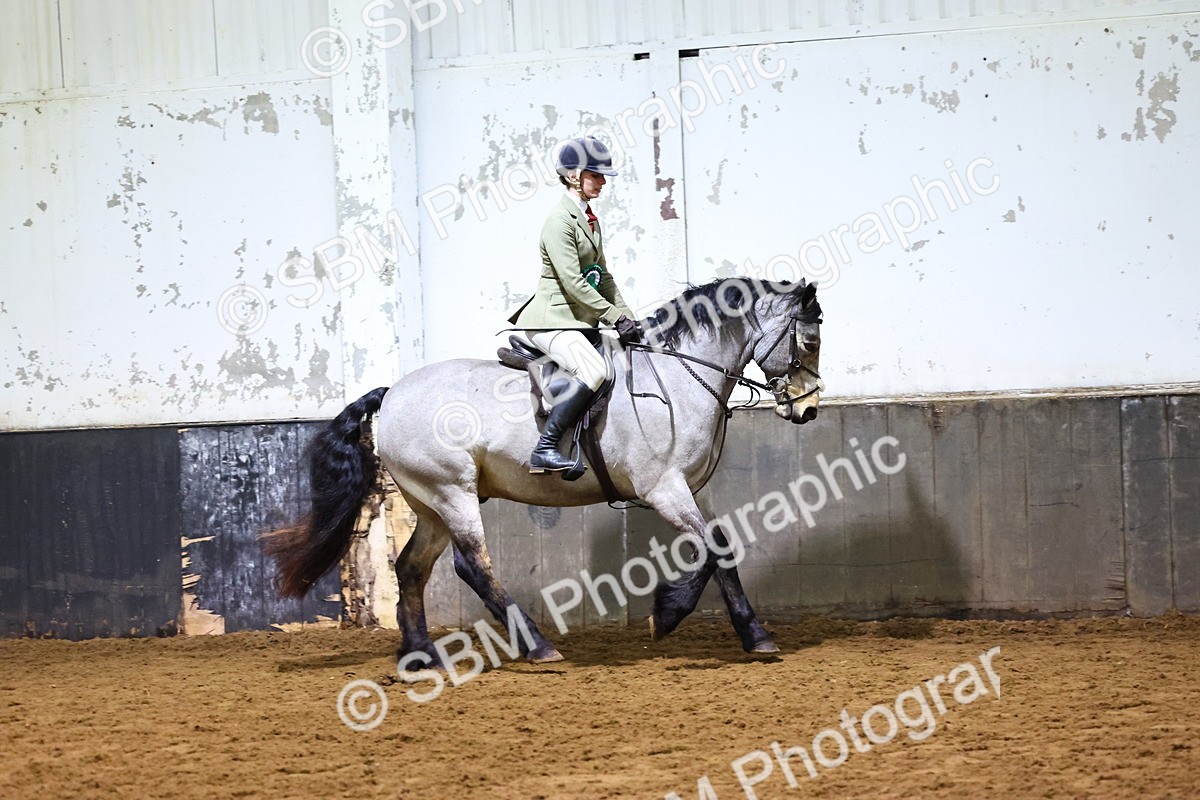 SBM_006720 - Class 43 - RIHS Qualifier Exceeding 43cms