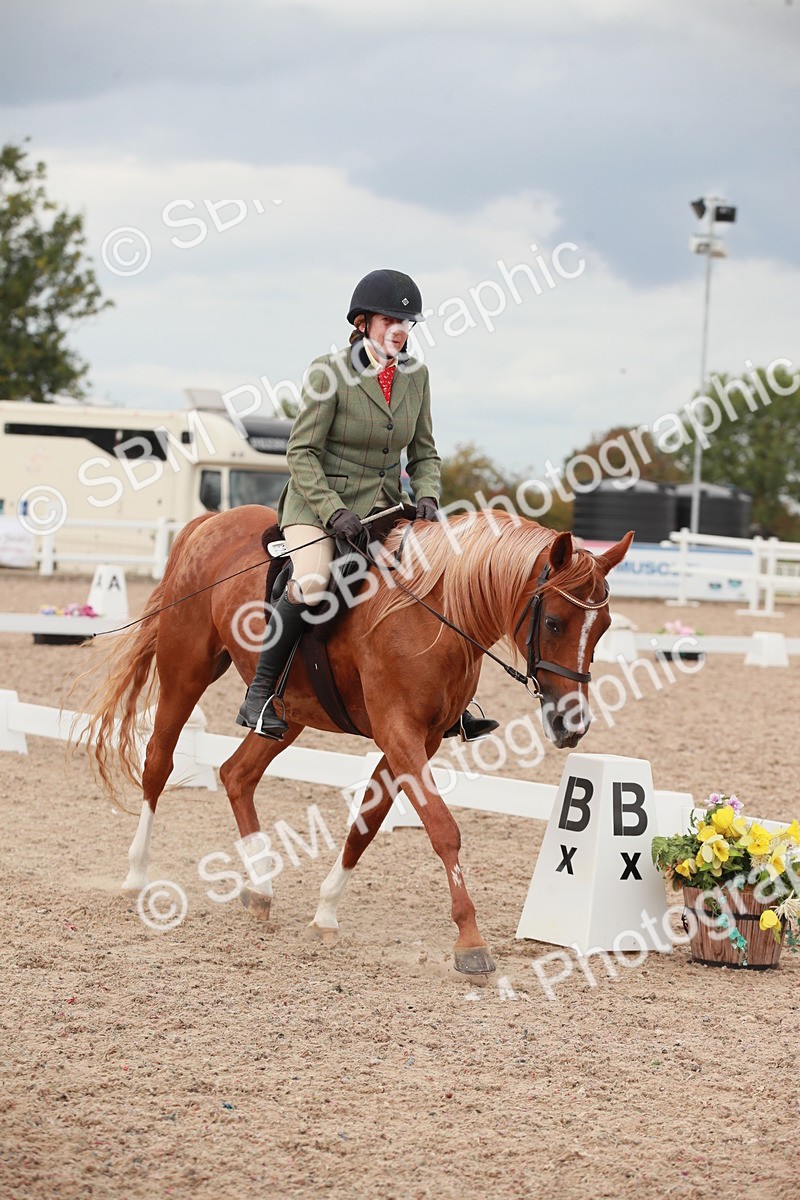 SBM_06015 - Class 32 - Novice 1