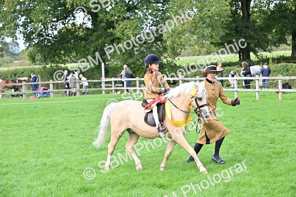 SBM_39341 - Lead Rein Supreme Championship