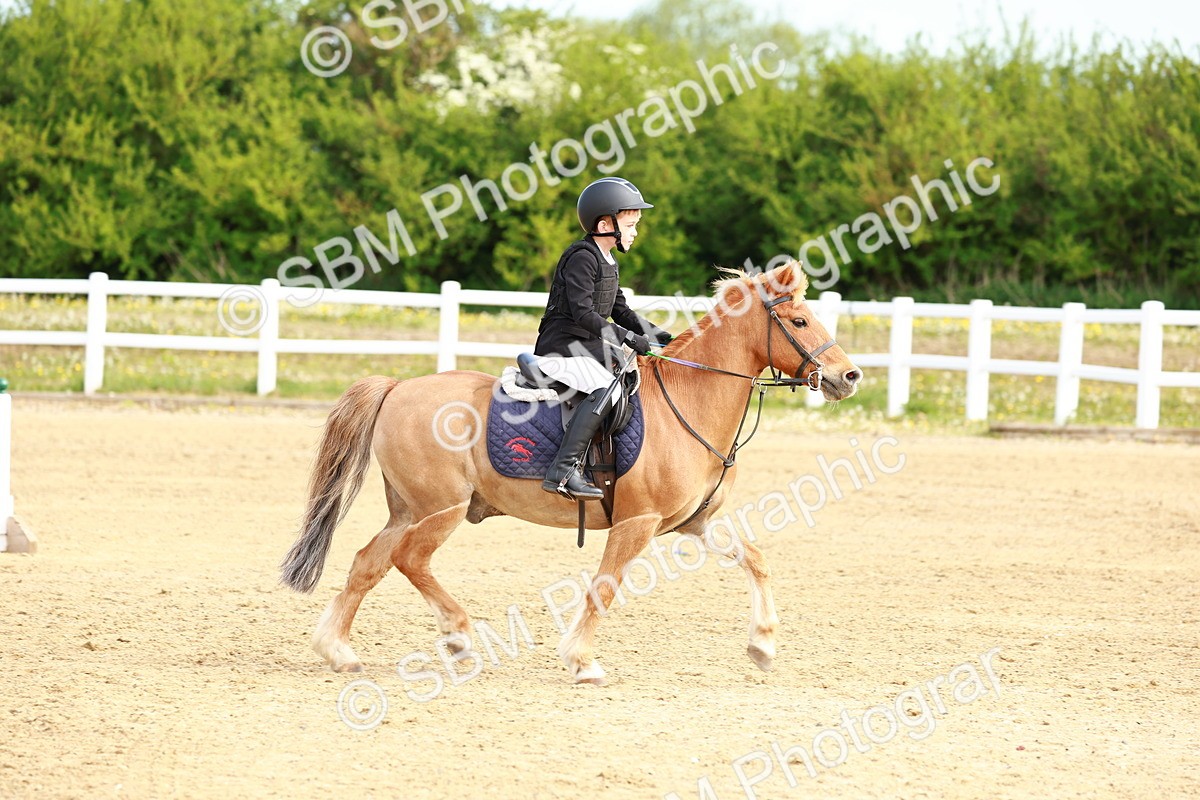 SBM_006611 - Class 1 - 40cm