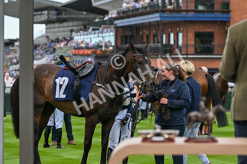 290725-Race 1-Poets Dawn - Star Start-9468 - Race 1