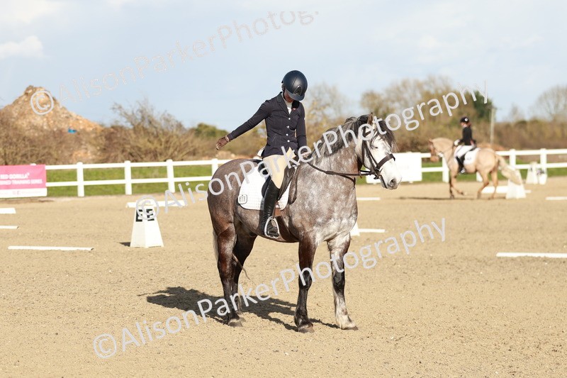 20260314-5425 - DR4 - Prelim 2