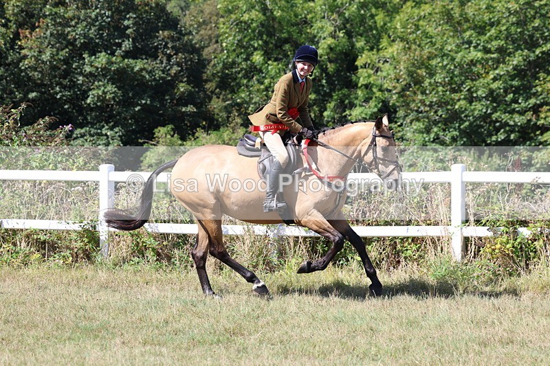 3E7A6490 - Working Hunter Championship