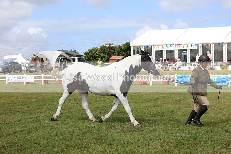 3E7A0078 - Class 5: Rising Star Lightweight/Heavyweight Cobs