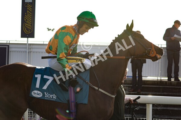 yr07102022r5-12 - Race 5 4.25pm Copper Knight Winningmost Horse Stakes