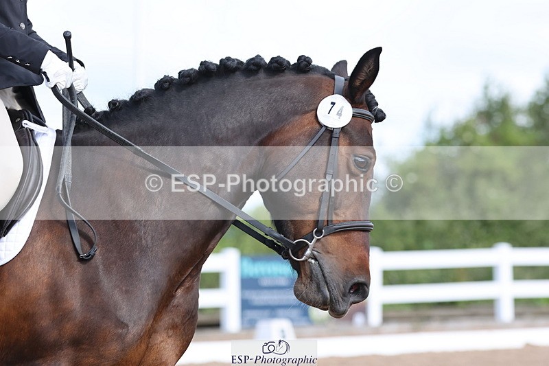 240706A-095032-00291 - Cls 2A Snr Prelim 7 Start to 10 break